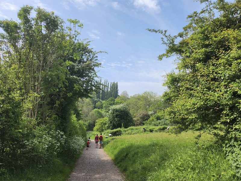 Old Sneed Park nature reserve